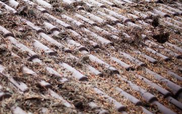 Highbrook roof cleaning companies